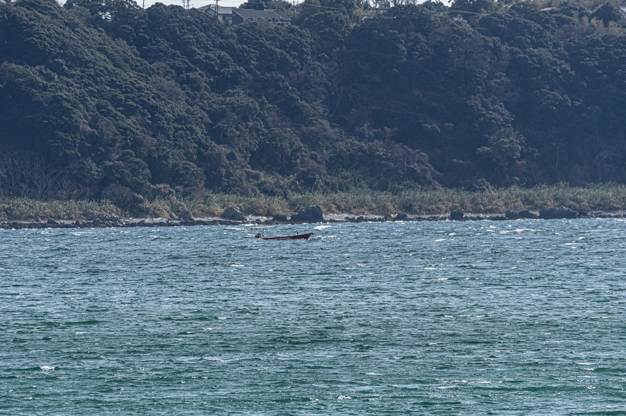 Akamatsu Diver's が時化のなかボートを出している